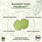 FlexiKnee™️ – Plasturi naturali pentru ameliorarea durerilor de genunchi